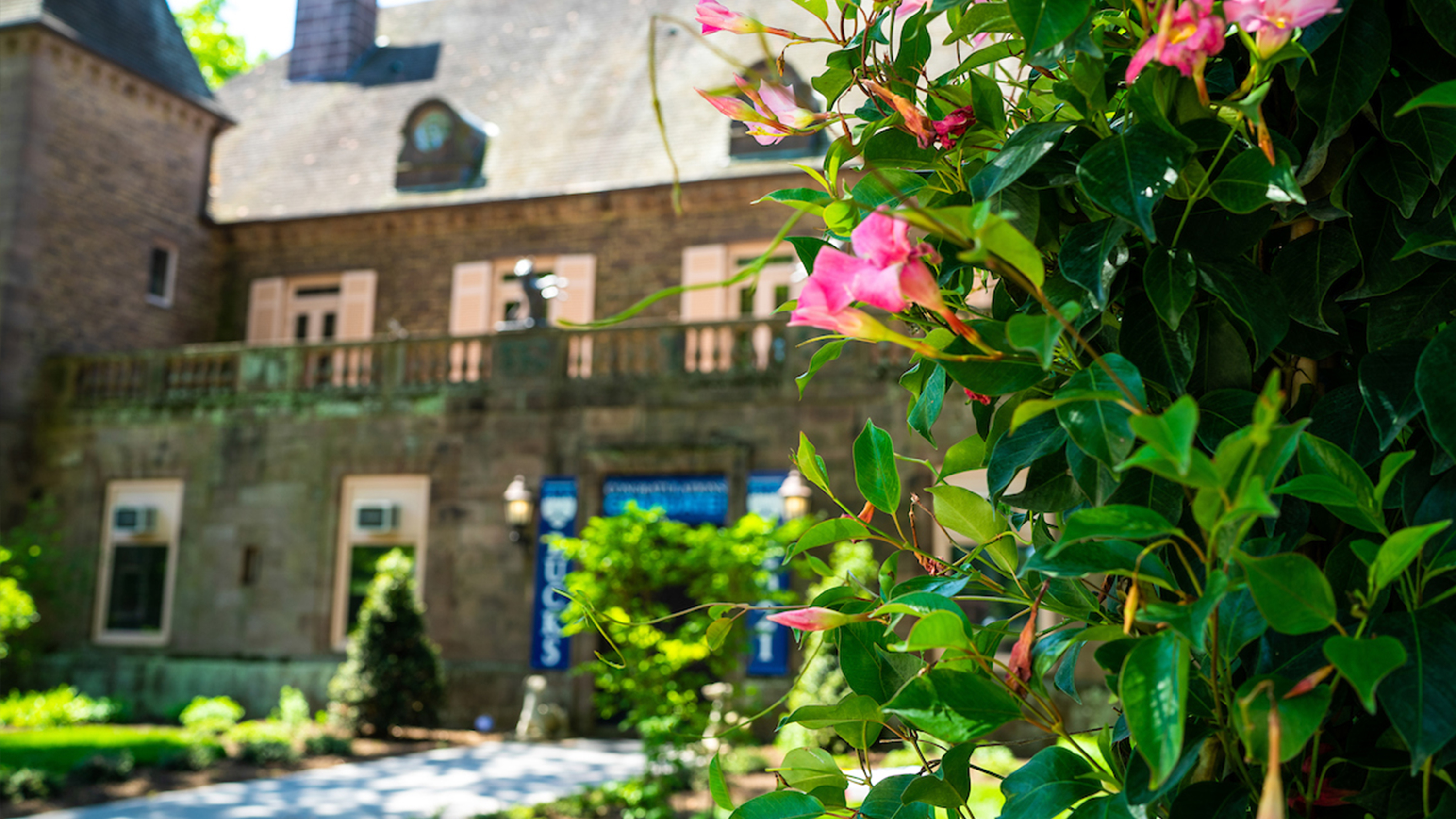 Spring flowers in bloom with Tyler Garden in background