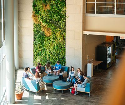 Students seated in front of green wall