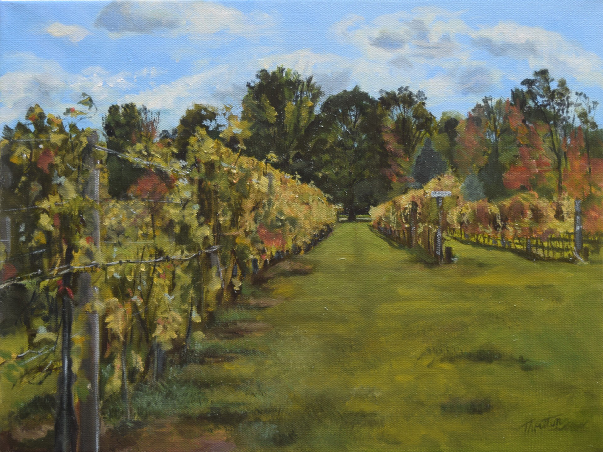 Riesling Row at Bishop Estate Vineyard oil on canvas painting