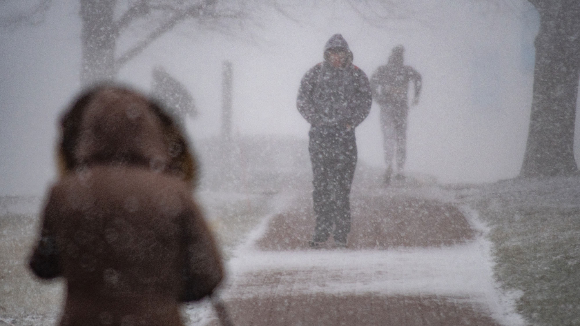 Person walking in snow squall